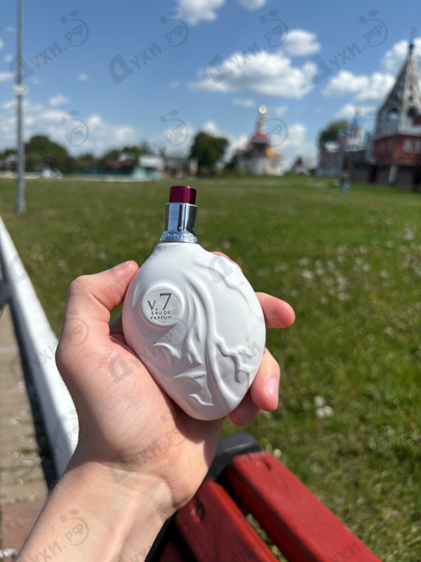 Купить White Heart V 7 от Map Of The Heart