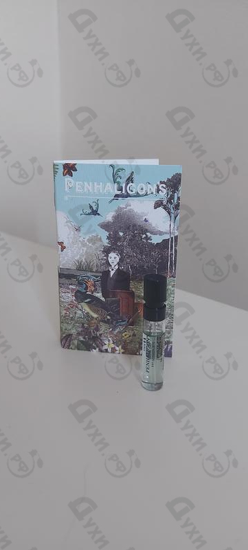 Духи The Impudent Cousin Matthew от Penhaligon's Отзывы Penhaligon's The Impudent Cousin Matthew