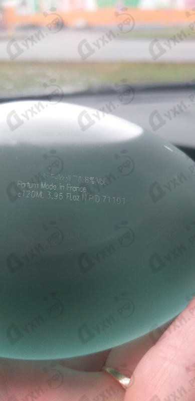 Парфюмерия Ziryab от Majda Bekkali