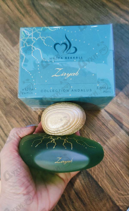 Купить Ziryab от Majda Bekkali