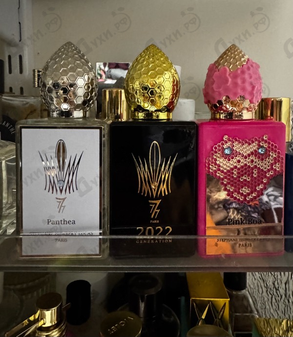 Купить Panthea от Stephane Humbert Lucas 777