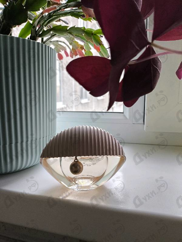 Парфюмерия World Eau de Toilette от Kenzo