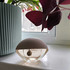 Парфюмерия World Eau de Toilette от Kenzo