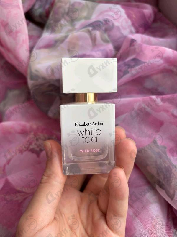 Купить White Tea Wild Rose от Elizabeth Arden