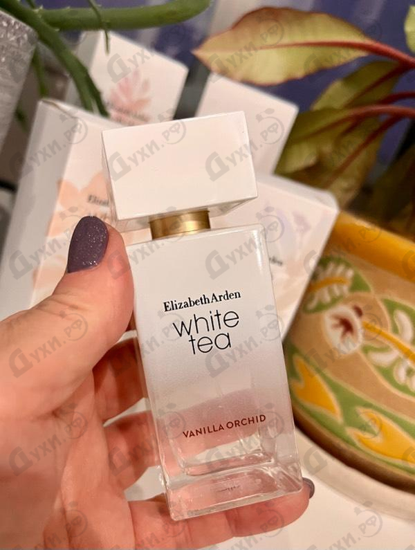 Духи White Tea Vanilla Orchid от Elizabeth Arden