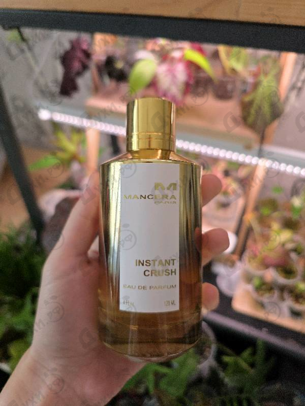 Духи Instant Crush от Mancera