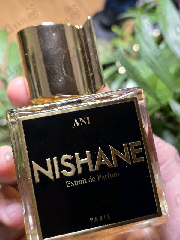 Купить Ani от Nishane