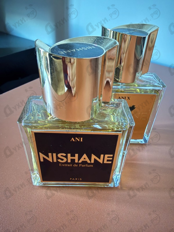 Отзыв Nishane Ani