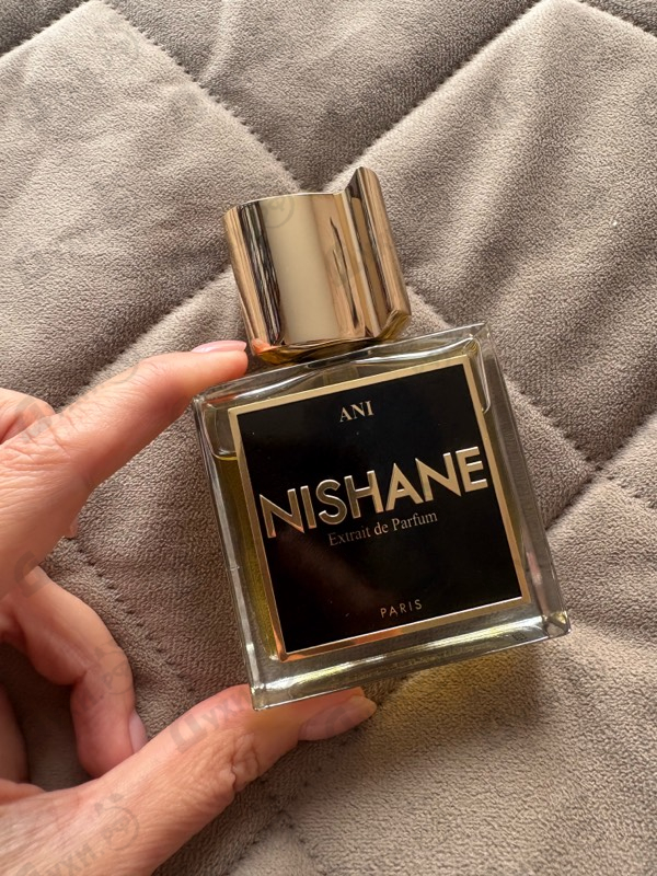 Купить Ani от Nishane