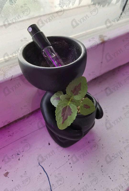 Парфюмерия Al Haramain Ola Pink