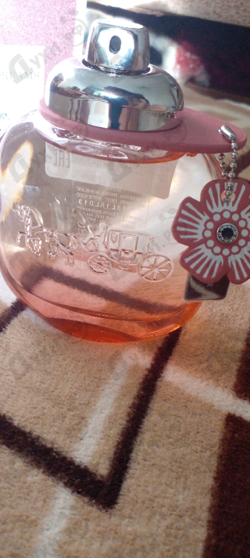 Купить Floral Blush от Coach