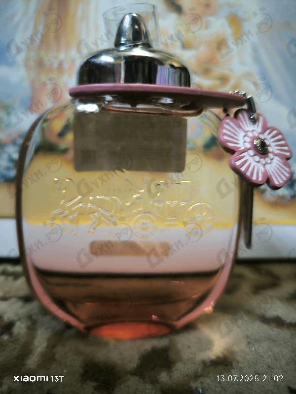 Купить Floral Blush от Coach