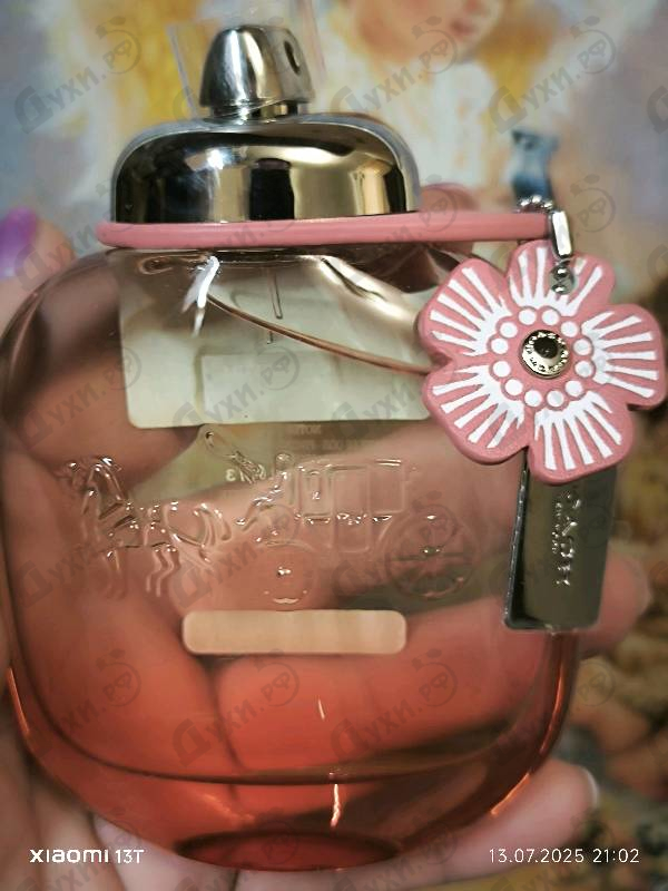 Купить Floral Blush от Coach