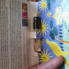 Отзыв Memo Argentina