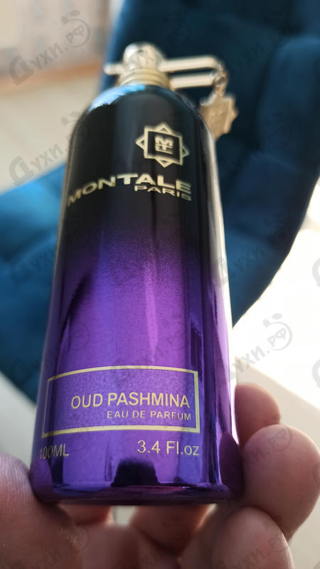 Отзывы Montale Oud Pashmina