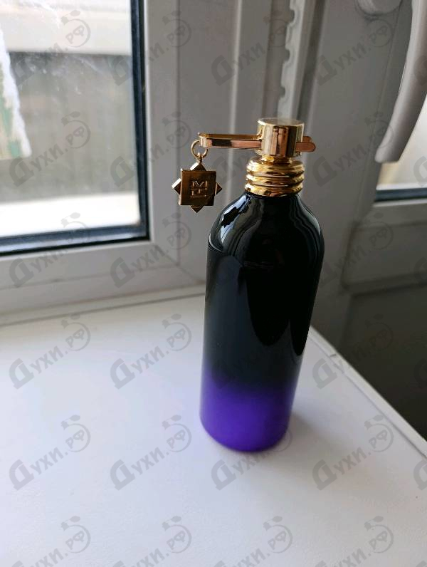 Отзывы Montale Oud Pashmina