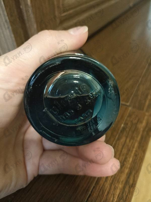 Купить Pear Inc. от Juliette Has A Gun