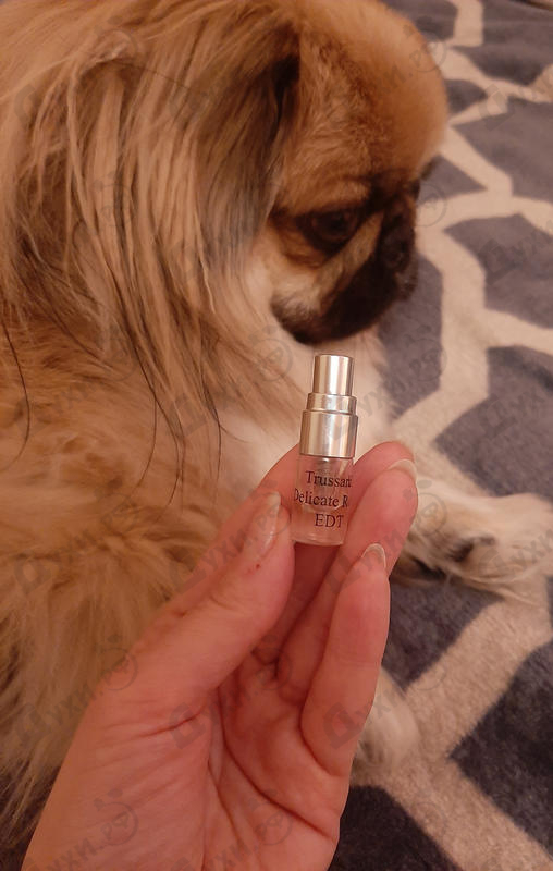 Духи Набор #30. Женские ароматы Trussardi. от Духи.рф Отзыв Духи.рф Набор #30. Женские ароматы Trussardi.