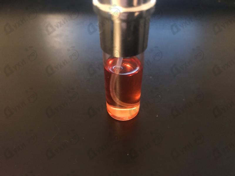 Парфюмерия Stronger With You Absolutely от Giorgio Armani Отзыв Giorgio Armani Stronger With You Absolutely