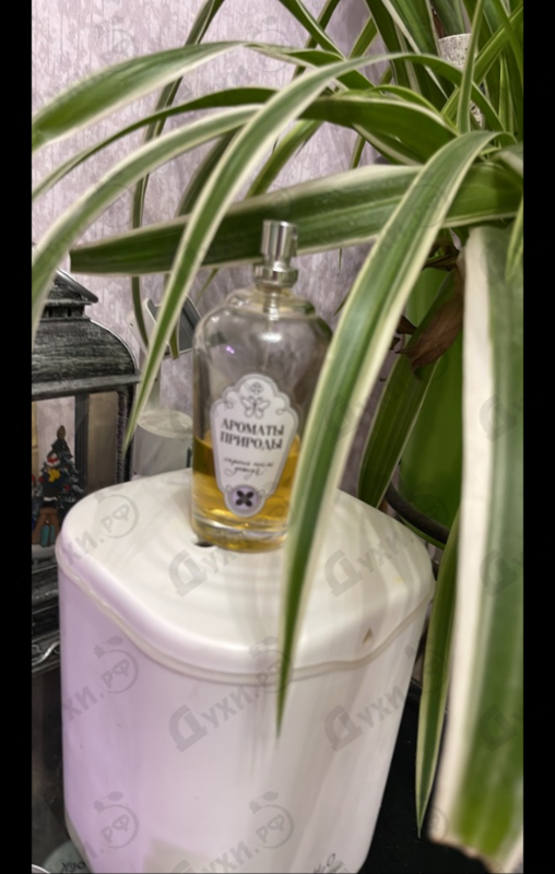 Купить Ароматы природы Сирень после дождя от Brocard