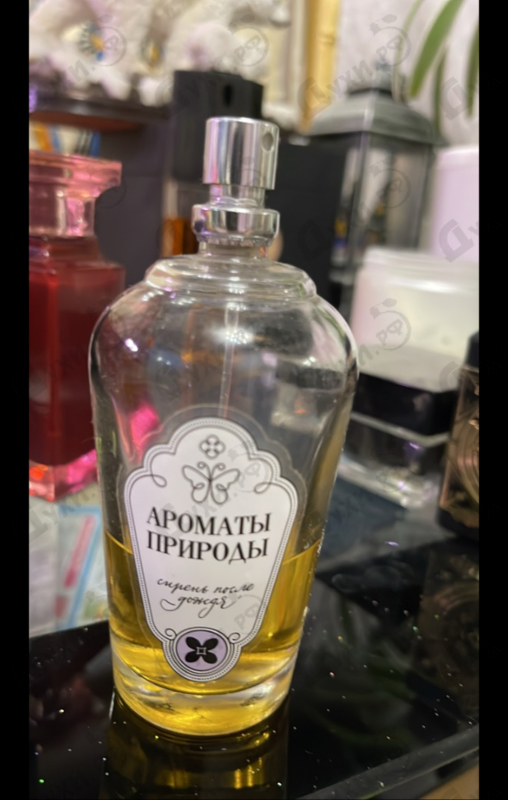 Духи Ароматы природы Сирень после дождя от Brocard