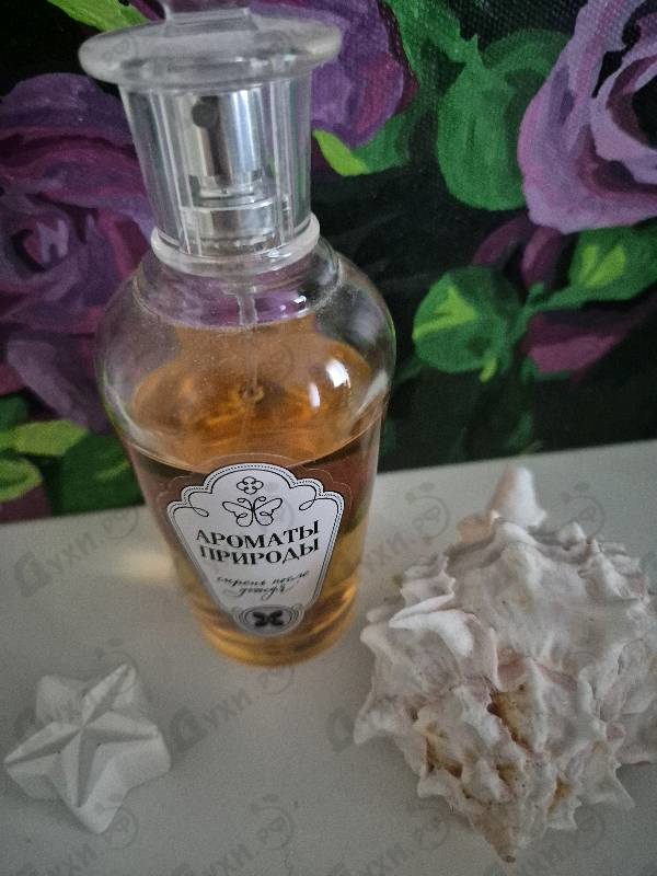 Купить Ароматы природы Сирень после дождя от Brocard