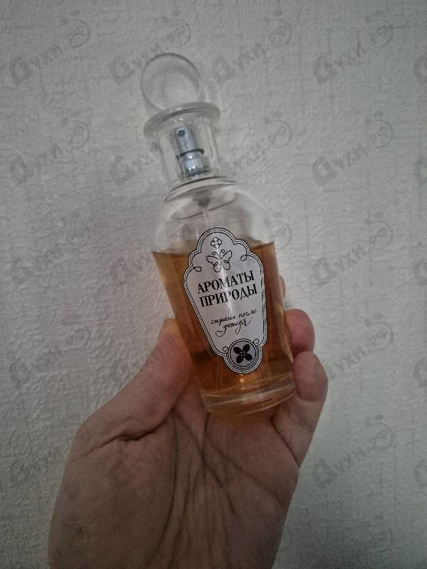 Духи Ароматы природы Сирень после дождя от Brocard