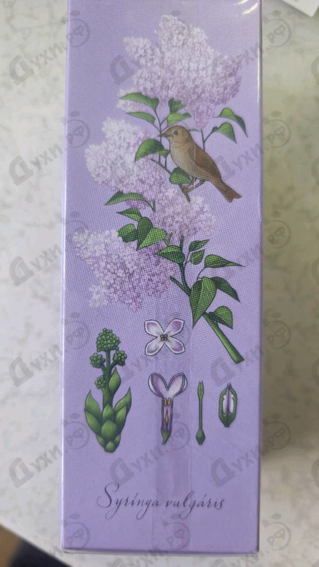 Духи Ароматы природы Сирень после дождя от Brocard