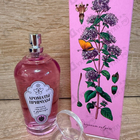 Парфюм Brocard Ароматы природы Лесная малина и душица