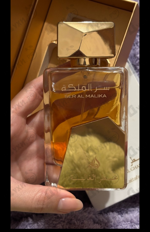 Духи Ser Al Malika от Lattafa Perfumes