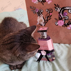 Отзывы Lattafa Perfumes Washwashah