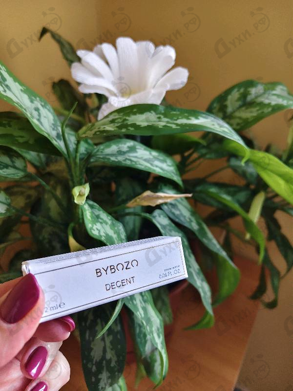 Купить Decent от ByBozo