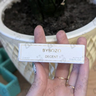 Отзывы ByBozo Decent