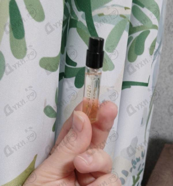 Купить Not A Girl от ByBozo