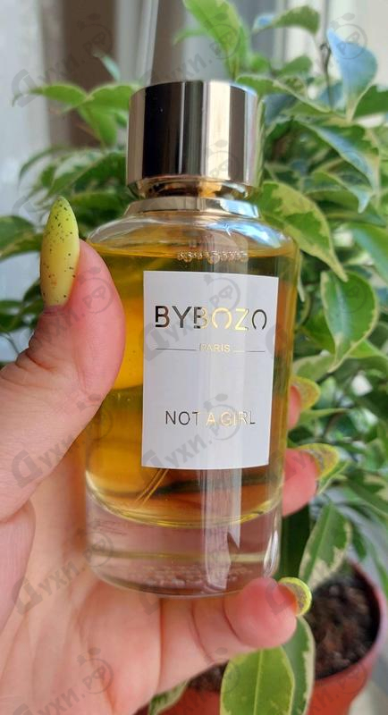 Купить ByBozo Not A Girl Купить Not A Girl от ByBozo