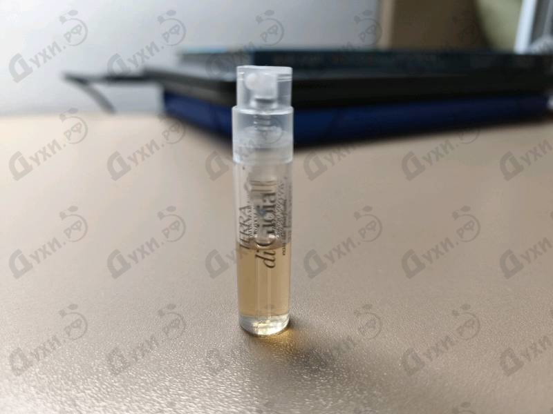 Отзывы Giorgio Armani Terra Di Gioia