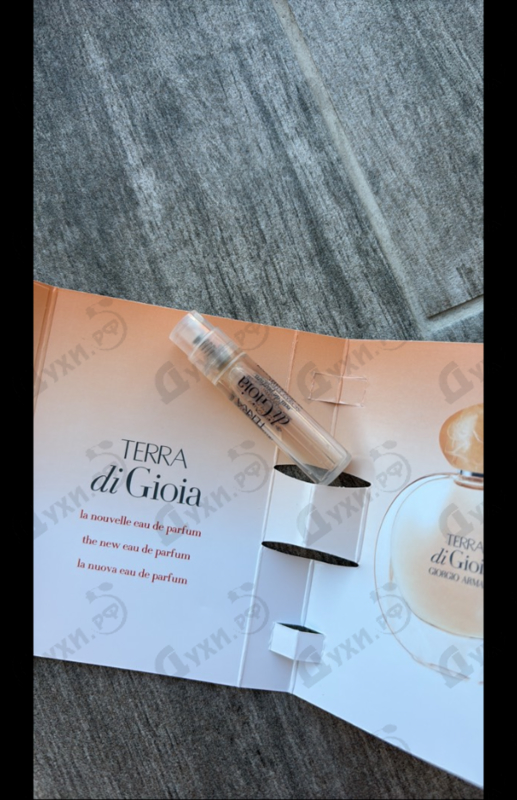 Купить Terra Di Gioia от Giorgio Armani