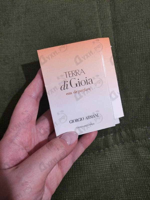 Купить Terra Di Gioia от Giorgio Armani