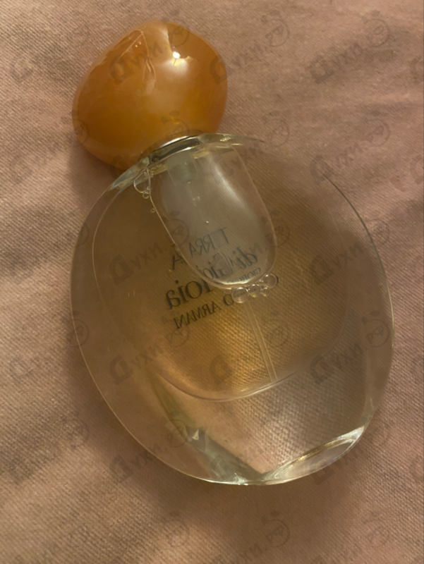 Отзывы Giorgio Armani Terra Di Gioia