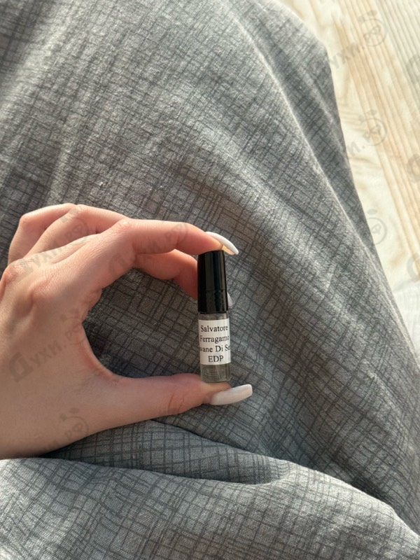 Купить Salvatore Ferragamo Savane Di Seta