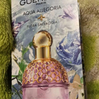Отзыв Guerlain Aqua Allegoria Flora Salvaggia