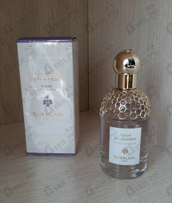 Купить Aqua Allegoria Flora Salvaggia от Guerlain