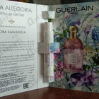 Парфюм Guerlain Aqua Allegoria Flora Salvaggia