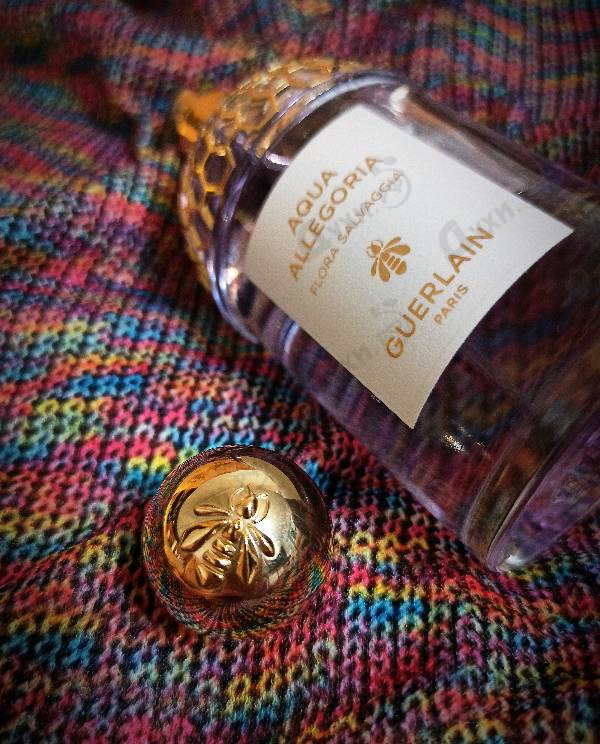 Купить Aqua Allegoria Flora Salvaggia от Guerlain