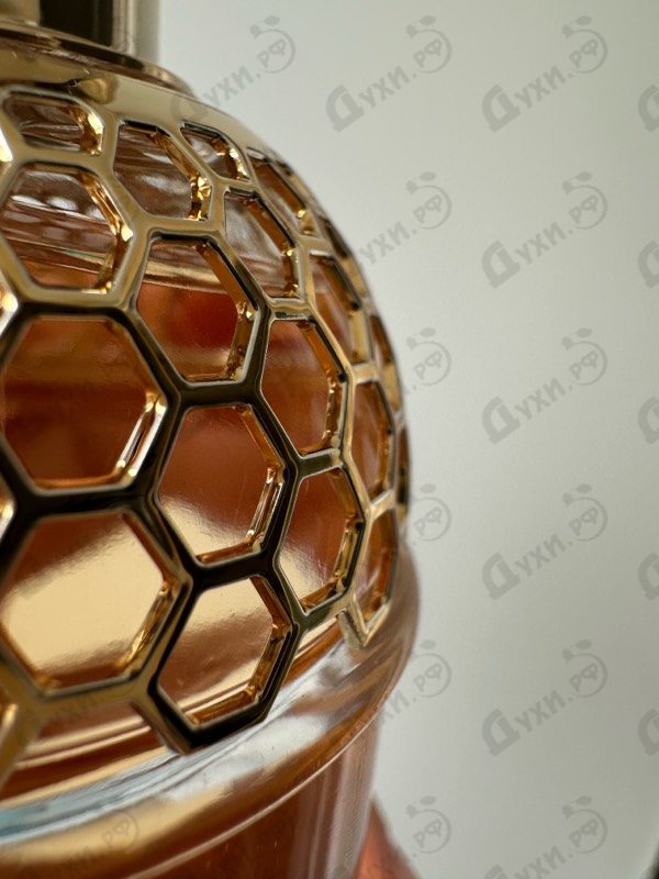 Купить Guerlain Aqua Allegoria Nettare Di Sole