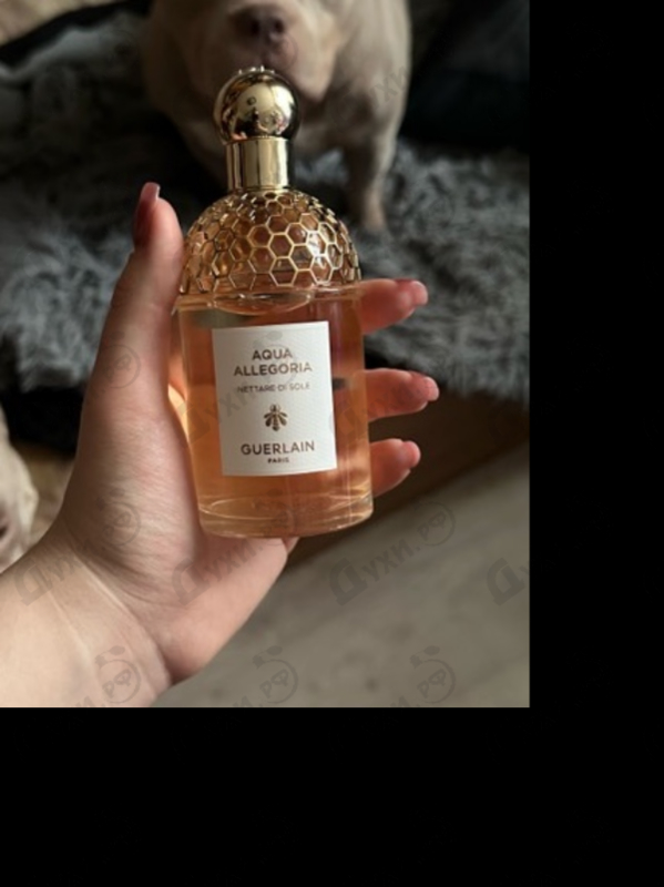 Духи Aqua Allegoria Nettare Di Sole от Guerlain