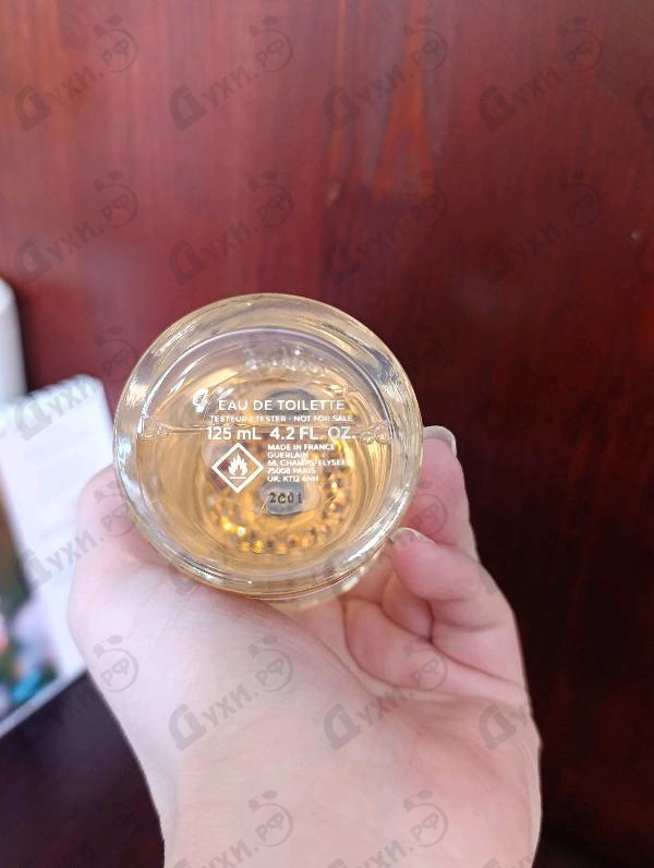 Парфюмерия Aqua Allegoria Nettare Di Sole от Guerlain