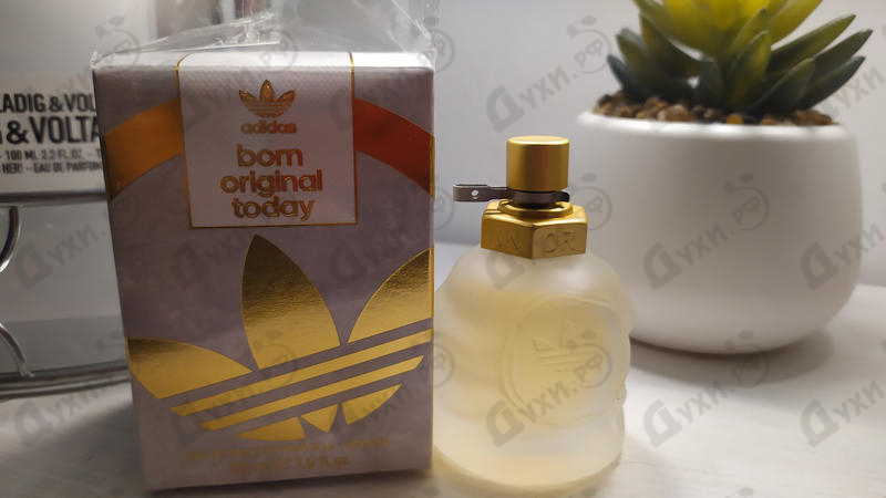 Парфюмерия Born Original Today от Adidas