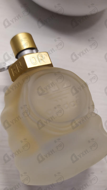 Купить Born Original Today от Adidas