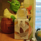 Отзыв Adidas Born Original Today